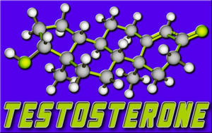 Testosterone cream benefits for women