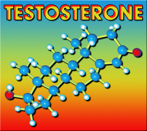 Depo testosterone for women