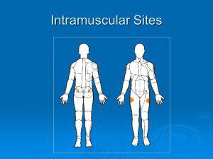 Intramuscular spots to inject testosterone