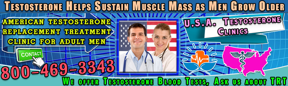 26 26 testosterone helps sustain muscle mass as men grow older