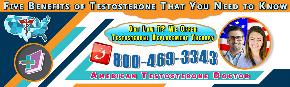 91 91 five benefits of testosterone that you need to know