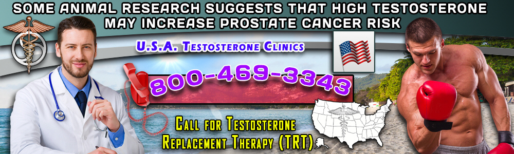 animal research suggests that testosterone may increase prostate cancer risk