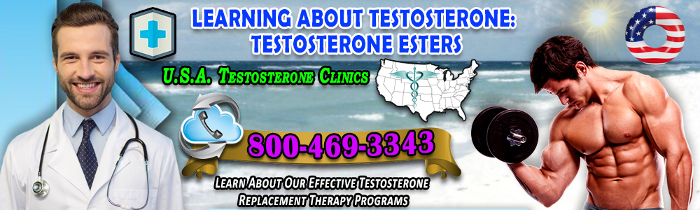 learning testosterone testosterone esters