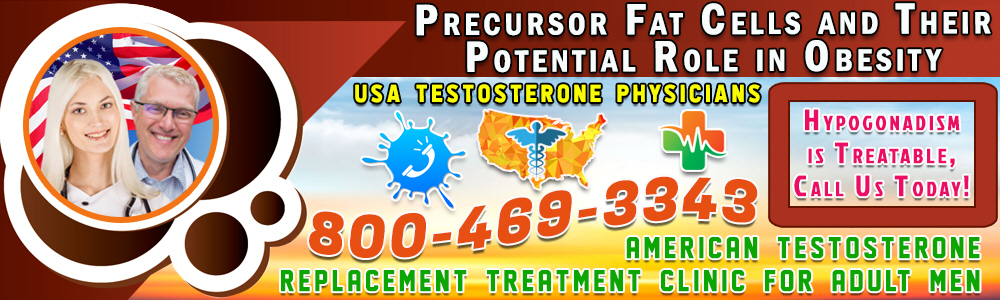 precursor fat cells and their potential role in obesity