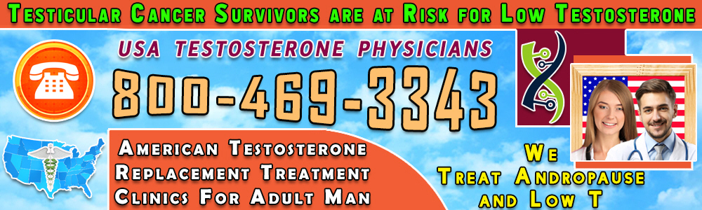 testicular cancer survivors are at risk for low testosterone