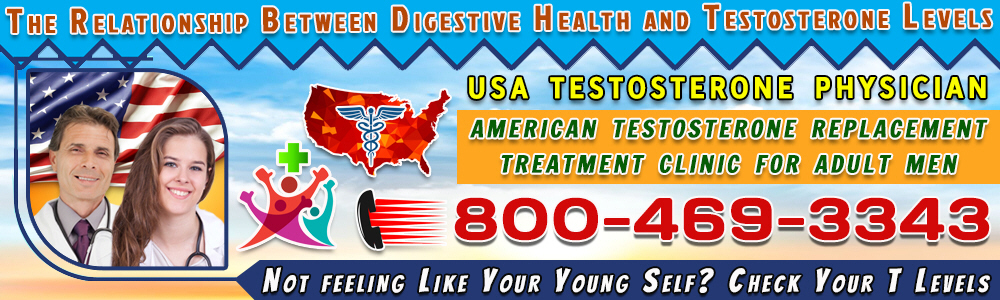 the relationship between digestive health and testosterone levels
