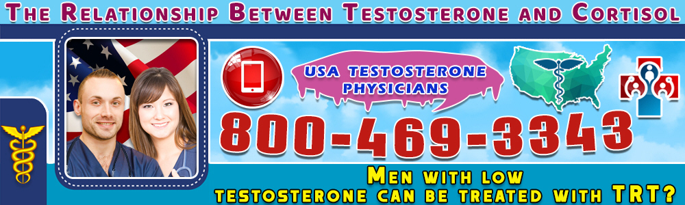 the relationship between testosterone and cortisol