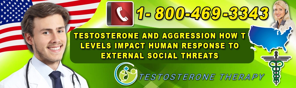 testosterone and aggression how t levels impact human response to external social threats