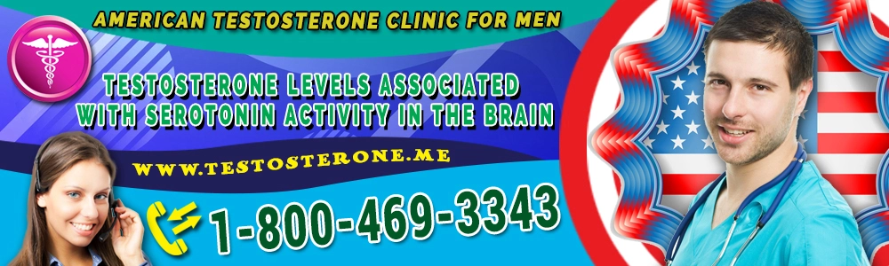 testosterone levels associated with serotonin activity in the brain