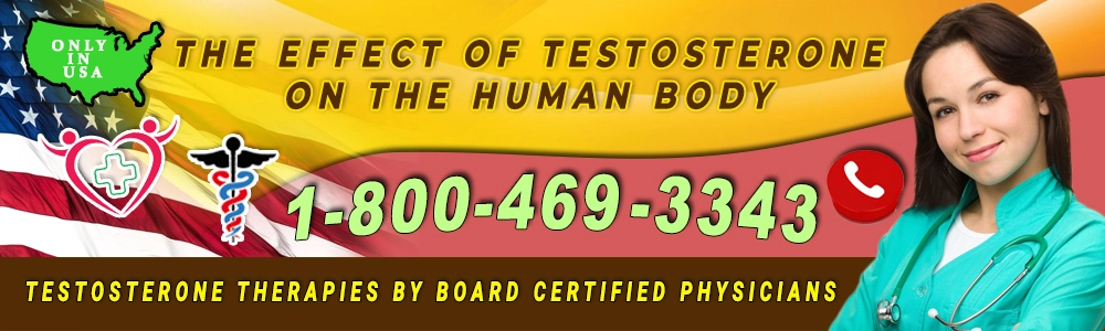 testosterones effects upon the human body