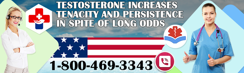 testosterone increases tenacity and persistence in spite of long odds header