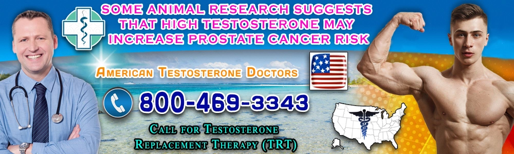 animal research suggests that testosterone may increase prostate cancer