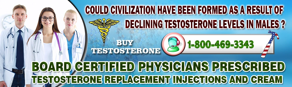 could civilization have been formed as a result of declining testosterone levels in males