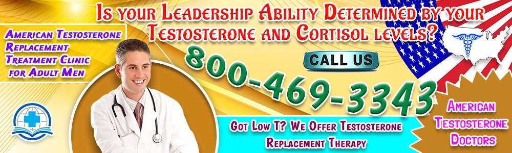 is your leadership ability determined by your testosterone and cortisol levels