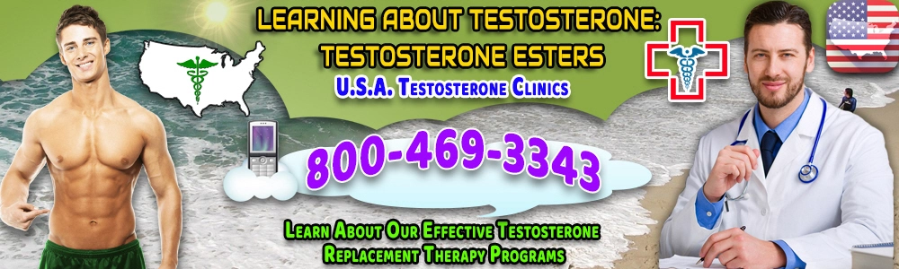 learning testosterone testosterone esters