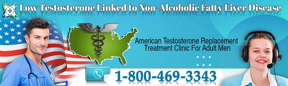 low testosterone linked to non alcoholic fatty liver disease header