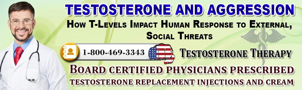 testosterone and aggression how t levels impact human response to external social threats