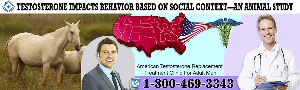 testosterone impacts behavior based on social context an animal study header