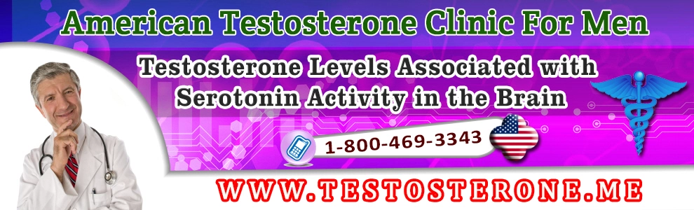 testosterone levels associated with serotonin activity in the brain