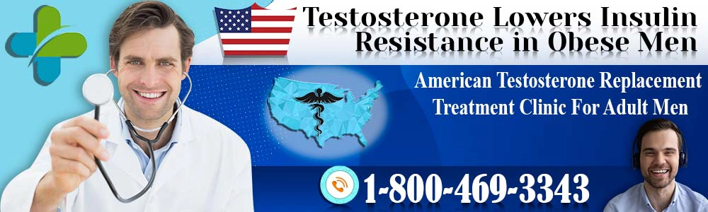 testosterone lowers insulin resistance in obese men header
