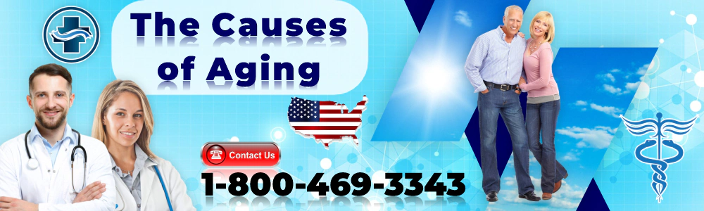 the causes of aging
