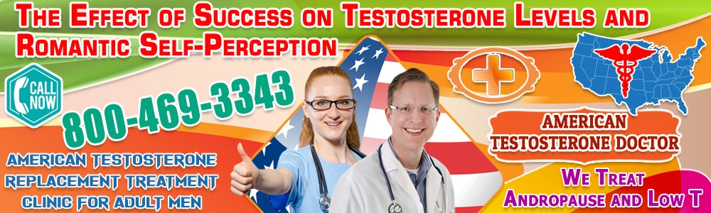 the effect of success on testosterone levels and romantic self perception