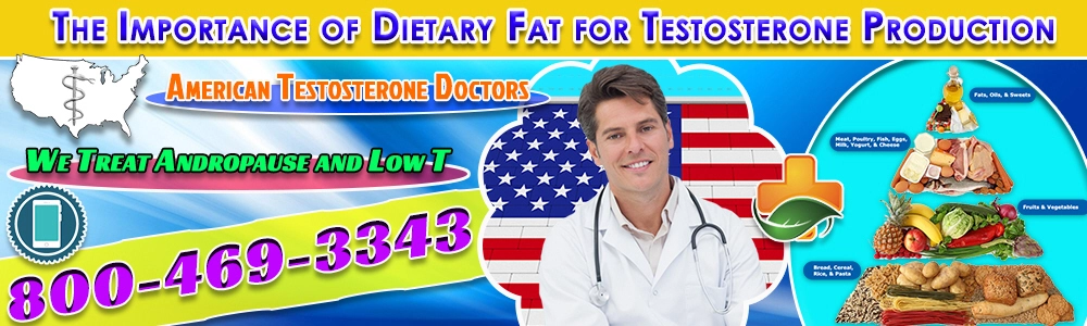 the importance of dietary fat for testosterone production