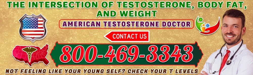 the intersection of testosterone body fat and weight