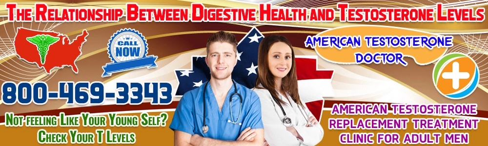 the relationship between digestive health and testosterone levels