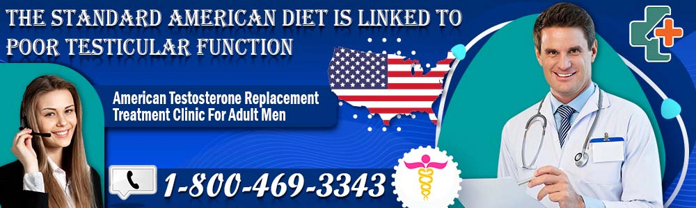 the standard american diet is linked to poor testicular function header