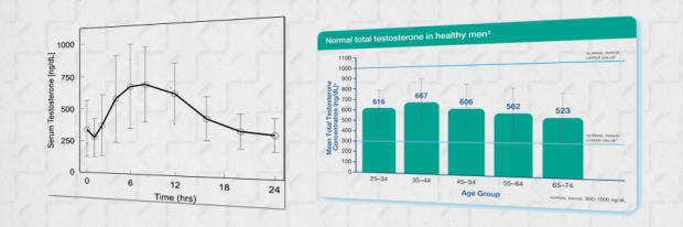 hormone levels in men header19 620x206