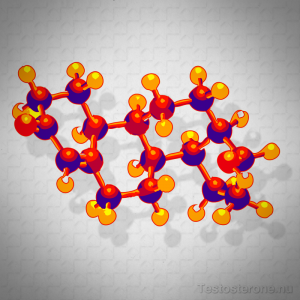 Testosterone molecule levels in men