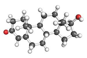 grey-white-red-testosterone-molecule