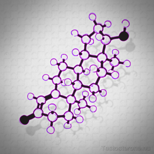 Testosterone Molecule