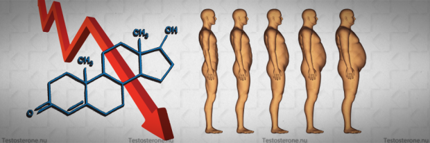 Testosterone Levels