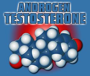 benefits of for testosterone women