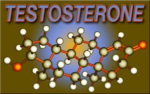 best testosterone natural supplements