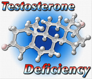 herbal supplement testosterone