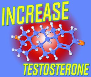 how to increase levels testosterone naturally