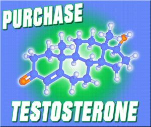 how to increase levels testosterone