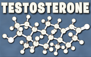 how to testosterone increase levels in males