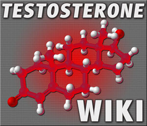 low levels in women and hair loss testosterone