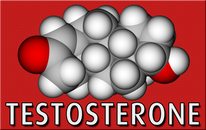 male hormone testosterone test