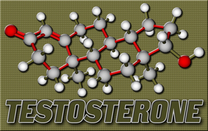 natural testosterone hormone replacement