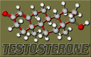 Natural testosterone replacement