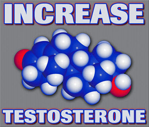 natural way to increase levels testosterone