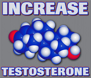 Natural way to build testosterone