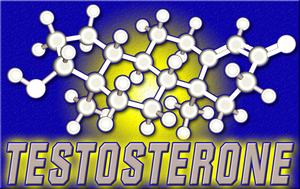 normal free levels testosterone age