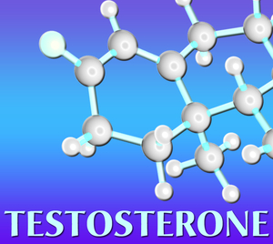 testosterone cypionate cycle