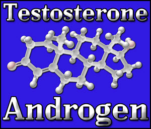testosterone low t signs
